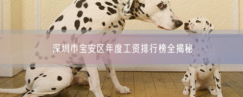 深圳市宝安区年度工资排行榜全揭秘
